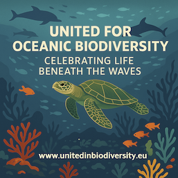 poster for ocean day webinar showing underwater turtles