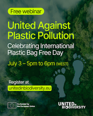 poster for world plastic day webinar